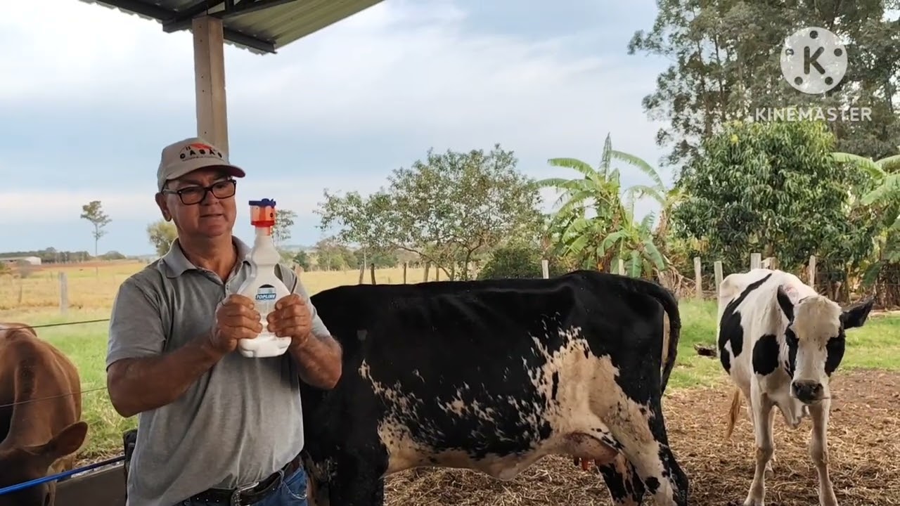 16/06/2024 Passando Topline Pour-on - Carrapaticida e Inseticida Fipronil
