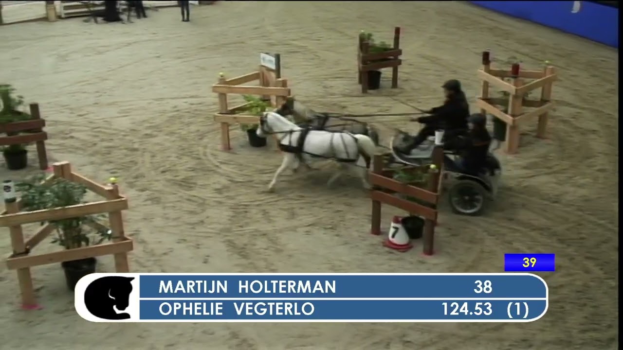 Bathmen 2026 Tweespan Pony