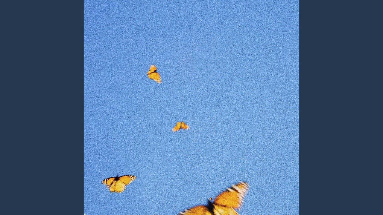 Butterflies