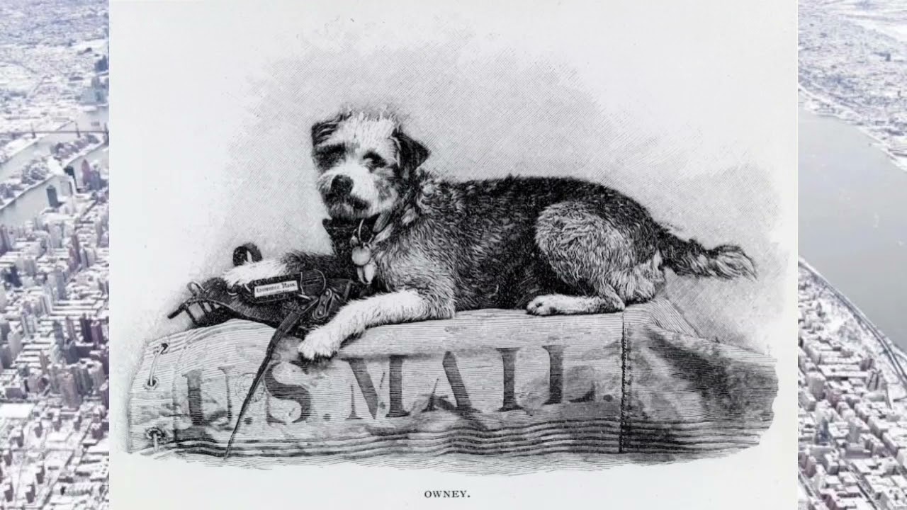 Owney, el perro cartero.