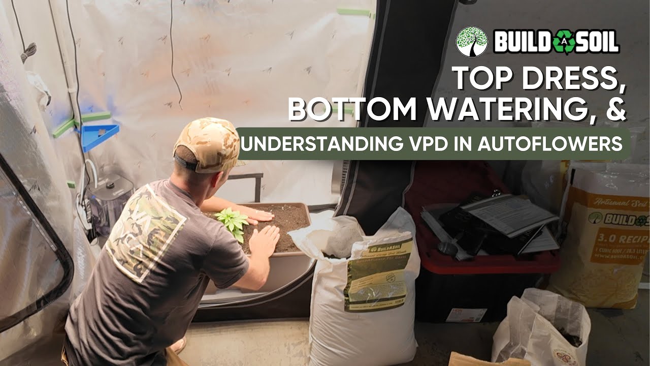 BuildASoil: Autoflower Soil // EarthBox Grow // VPD & Bottom Watering Explained