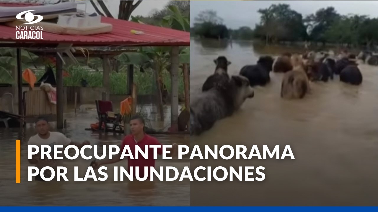 Videos de las inundaciones en Córdoba: nuevo frente frío podría empeorar la situación