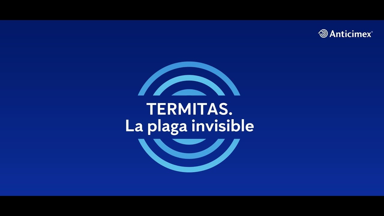 Conversando con Expertos | TERMITAS. La plaga invisible