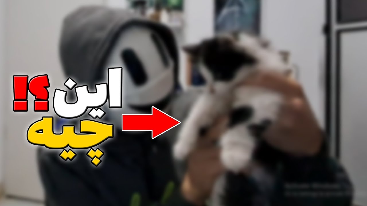 سلام... اسمایل بچه دار شد !