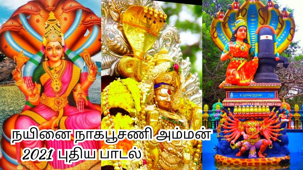 Nainai Naagapusani AMMAN KOVIL SONG || NEW TAMIL PAKKITHTHI SONG || NAINATHEVU || JAFFNA ||