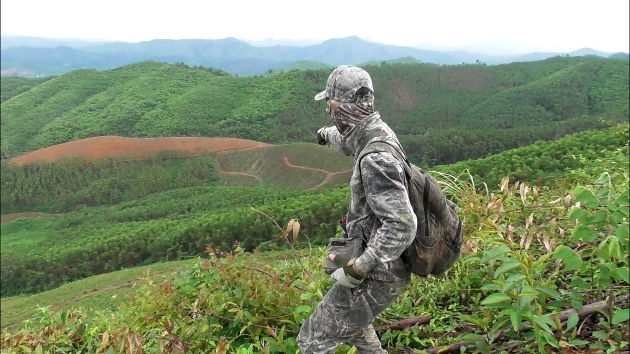 Thợ săn bẫy gà rừng hoàng thắng vượt núi cao bẫy gà rừng