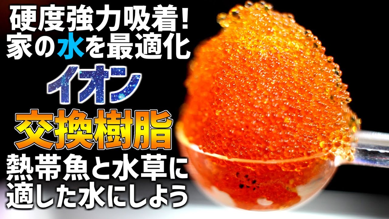 イオン交換樹脂でお手軽軟水化！コケを減らす&水草と熱帯魚に適した水へ！#65【アクアリウム】