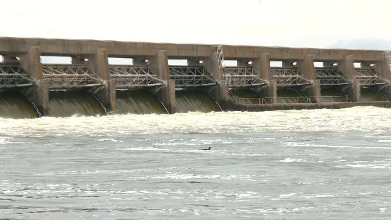 Santee Cooper begins spilling as water from North Carolina flooding moves in Lake Marion