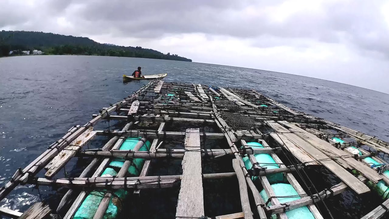 Mancing jiging dengan joran UL| Umpan soflure