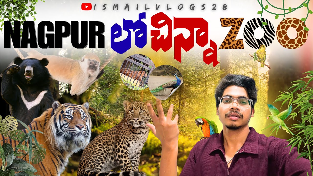 Nagpur లో చిన్నా ZOO | Nagpur Vlog | Zoo Vlog | Zoo | #nagpur | #maharashtra | #ismailvlogs28 |