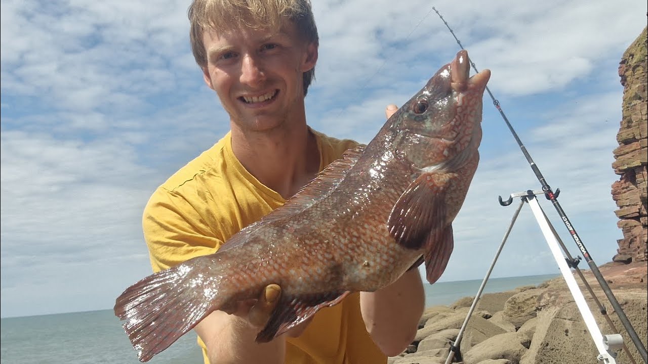 summer cod fishing once again with a pb species!!