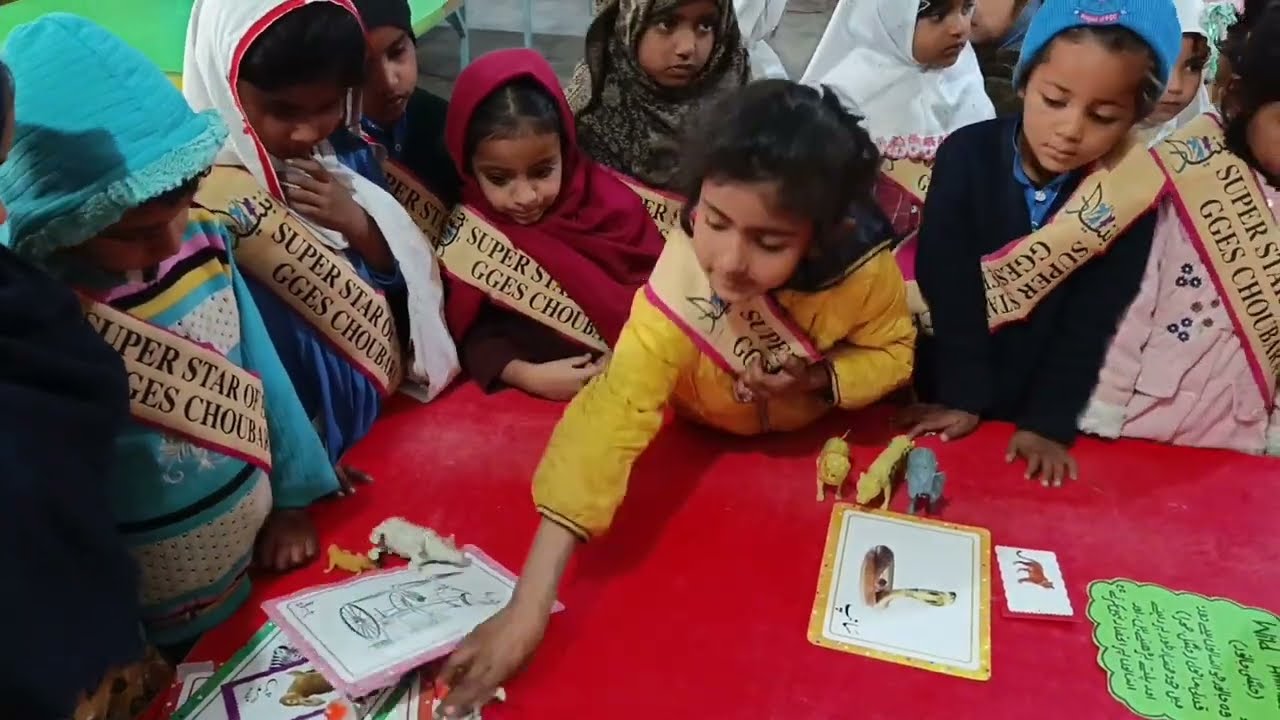 Wild & Domestic Animals | Pet Animals | Animals Around Us | Pre-Nursery Learning