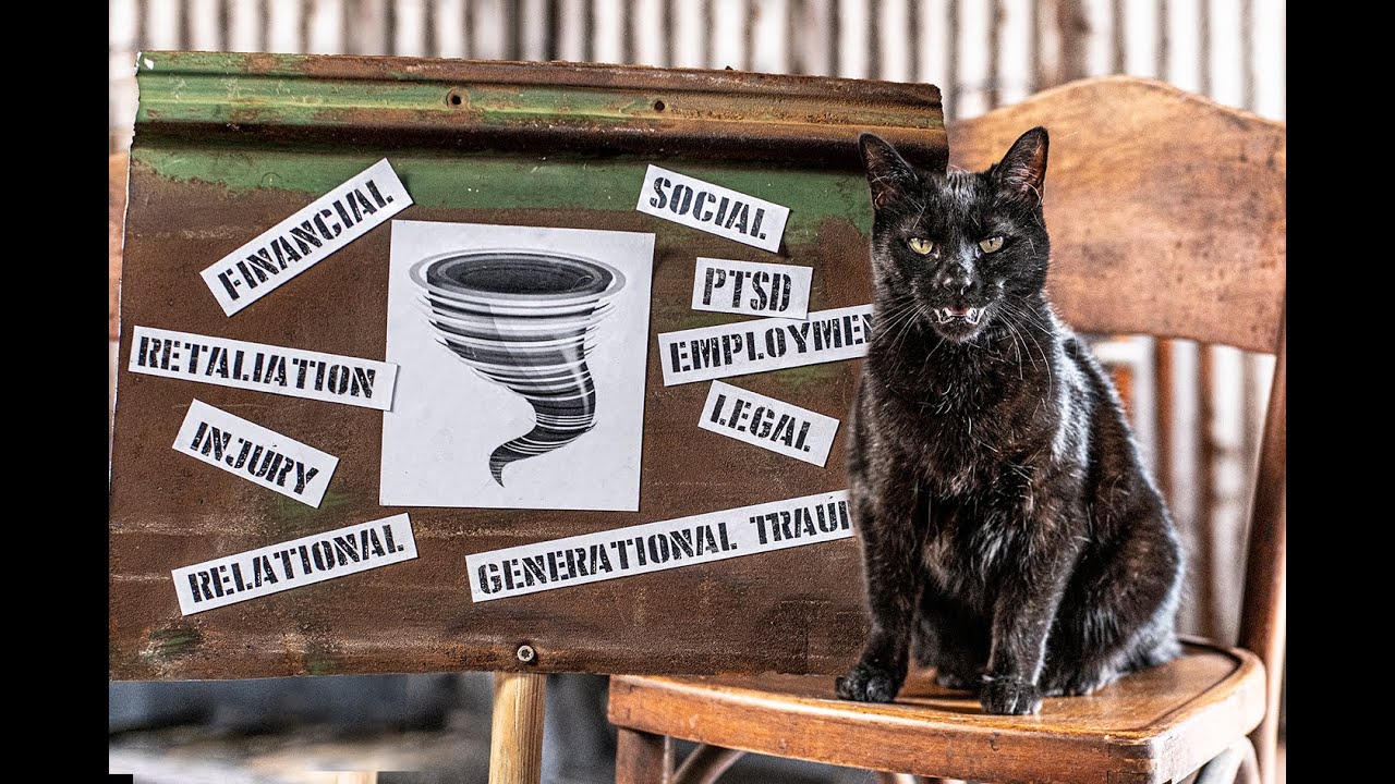 The Aftermath of Violence