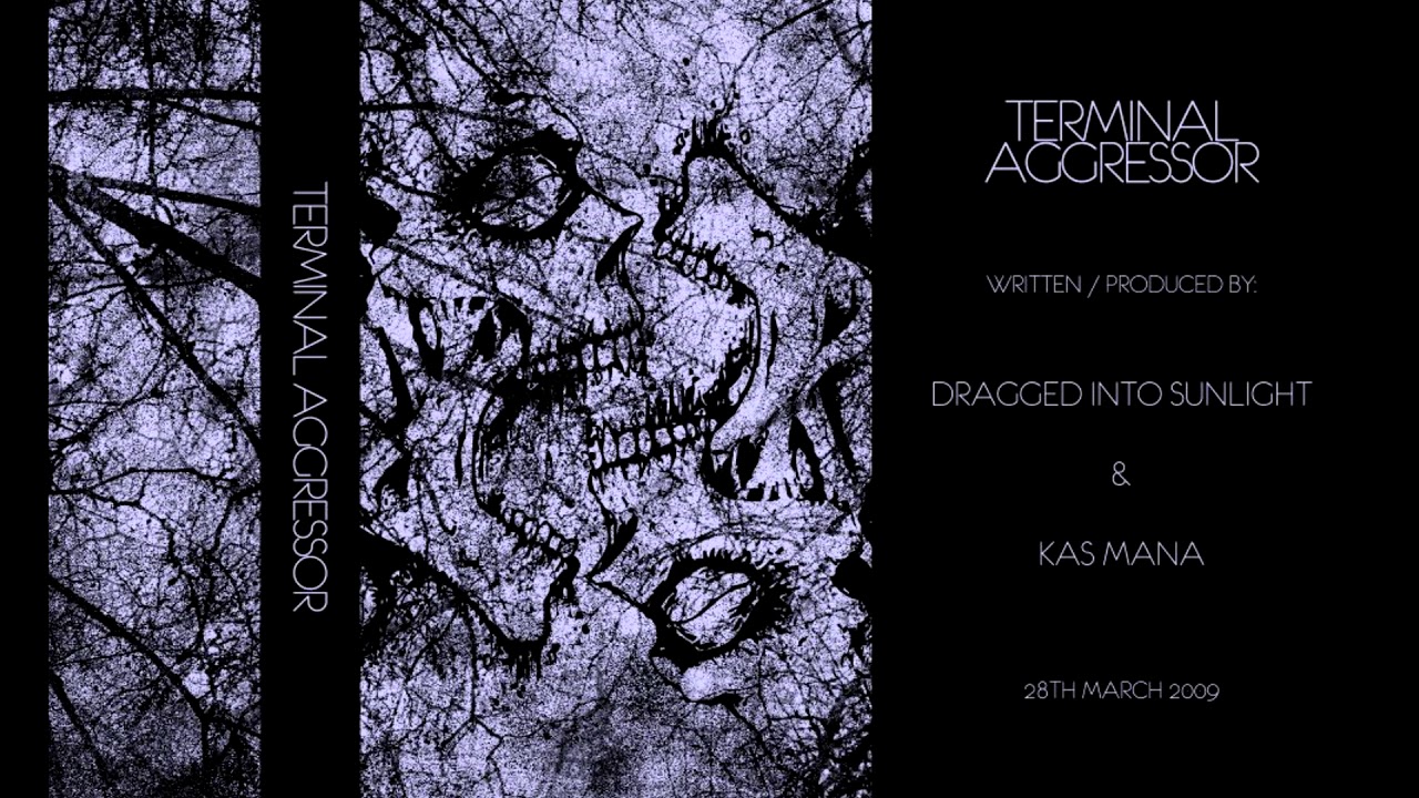 Dragged Into Sunlight - Terminal Aggressor