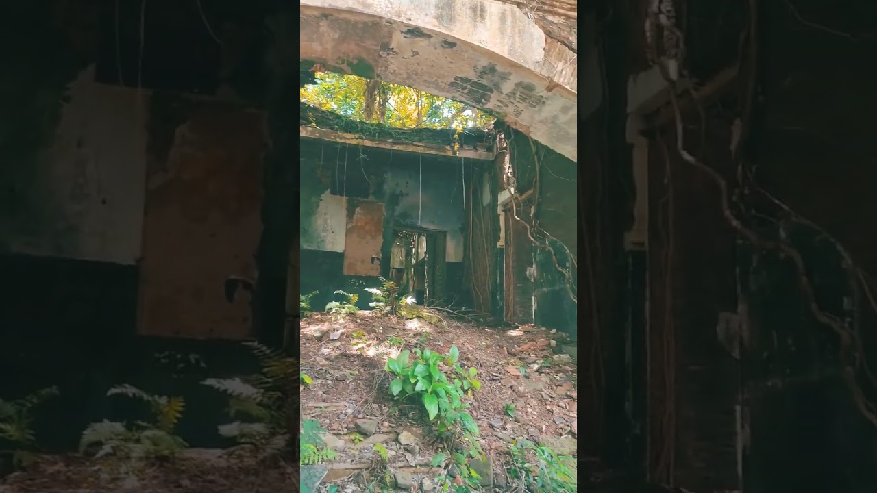 real life ghost house 😨😰#shorts #reallifevlogs #ghosthouse #youtube #ghost #vlog