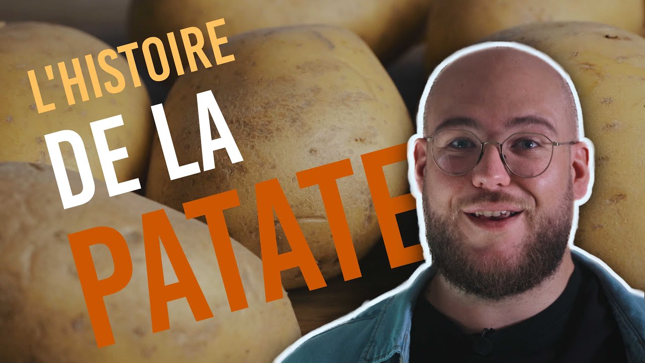 La patate - Echange colombien, génétique et amidon