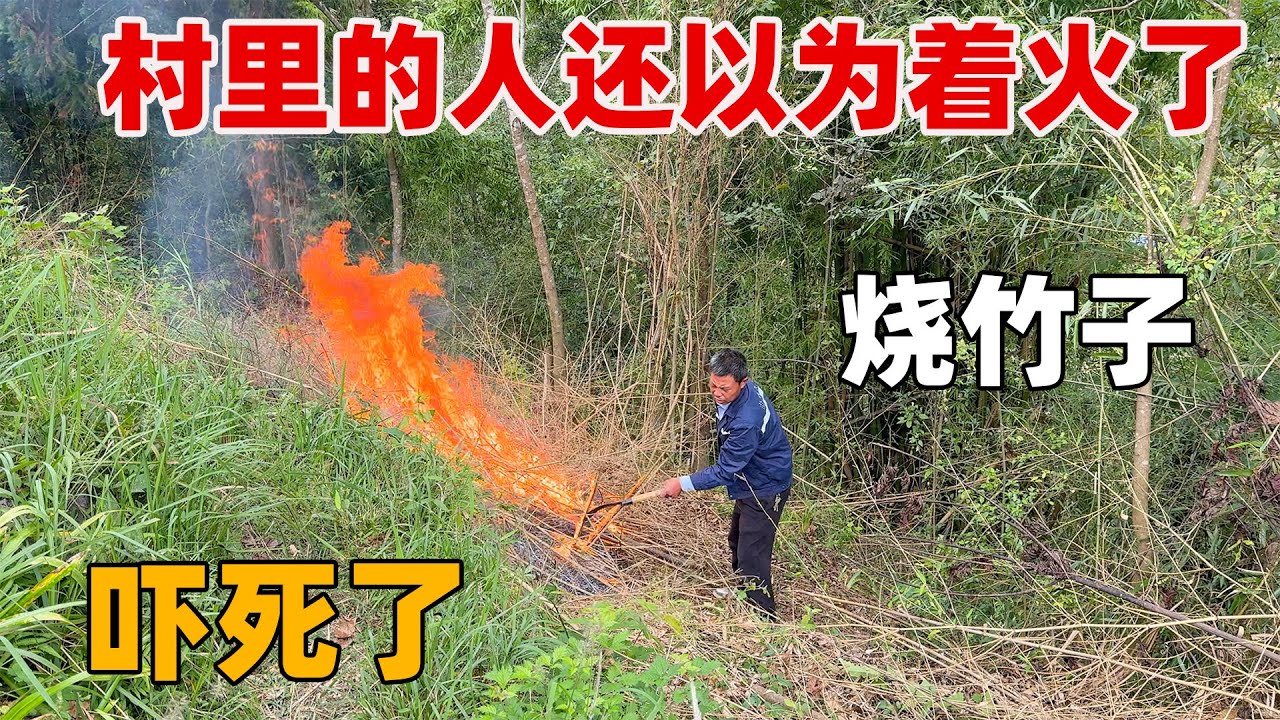 女儿女婿都在为果园努力，作为长辈我也应该支持，把砍下来的竹子烧掉，方便他们种树苗