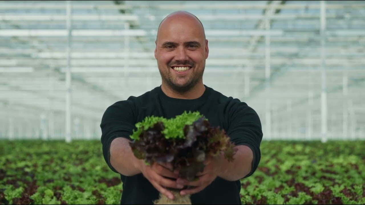 Innovative Greenhouse Construction | Big Dutchman Horticulture Solutions with Ammerlaan