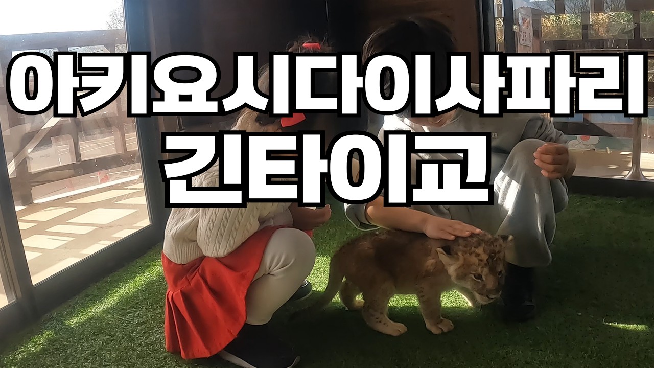 캠핑카타고 일본여행 - 1,2일차 미네 이와쿠니