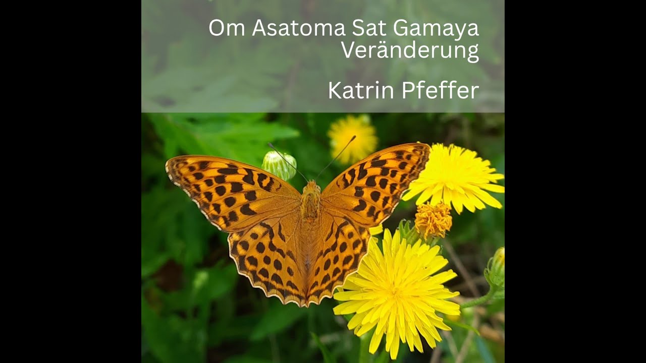 Veränderung (Om Asatoma Sat Gamaya) - Katrin Pfeffer | Acoustic Version, 444Hz Gitarre