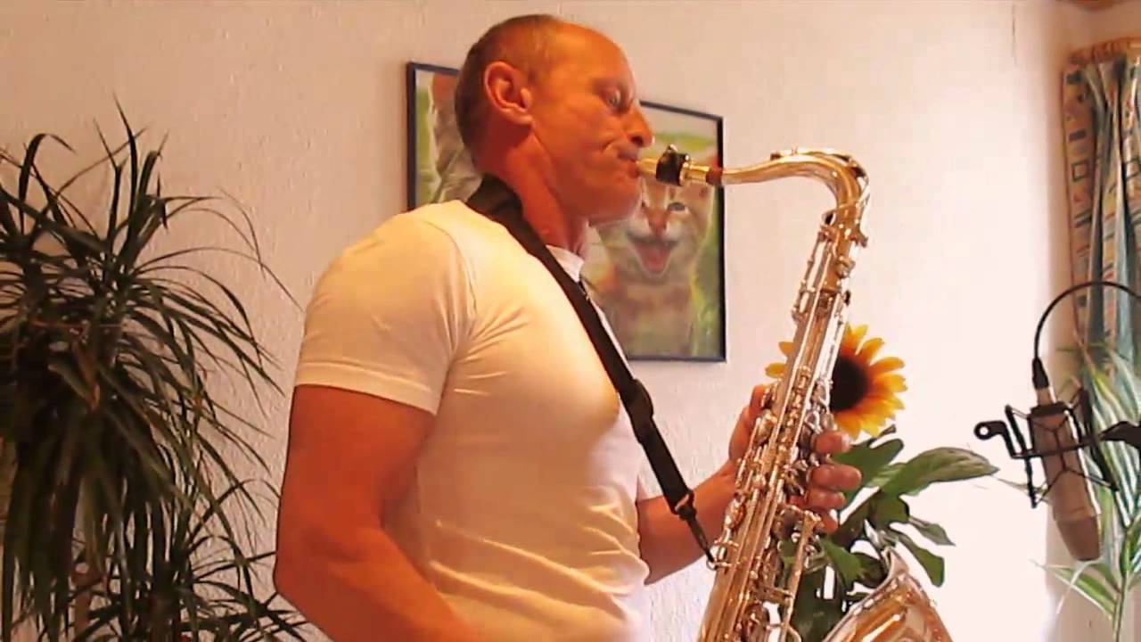 So Happy Together - Cover Version from The Turtles - Saxophone