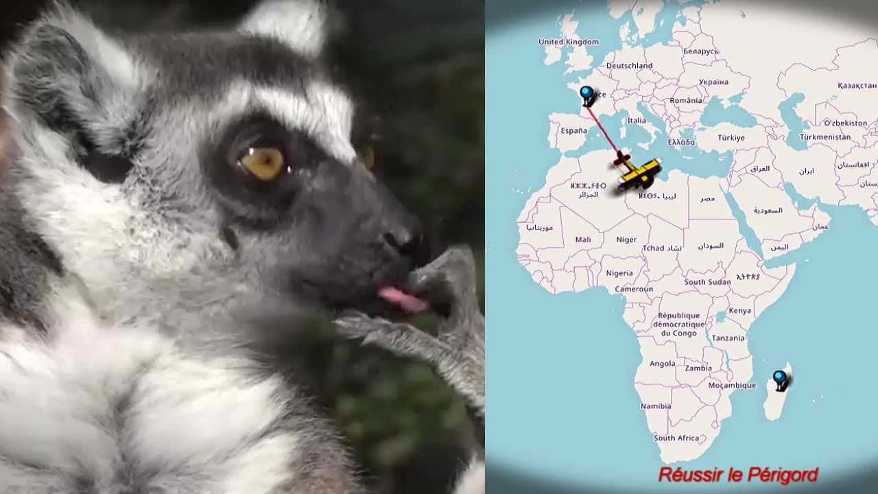 Un futur pour la nature  Réserve zoologique de Calviac