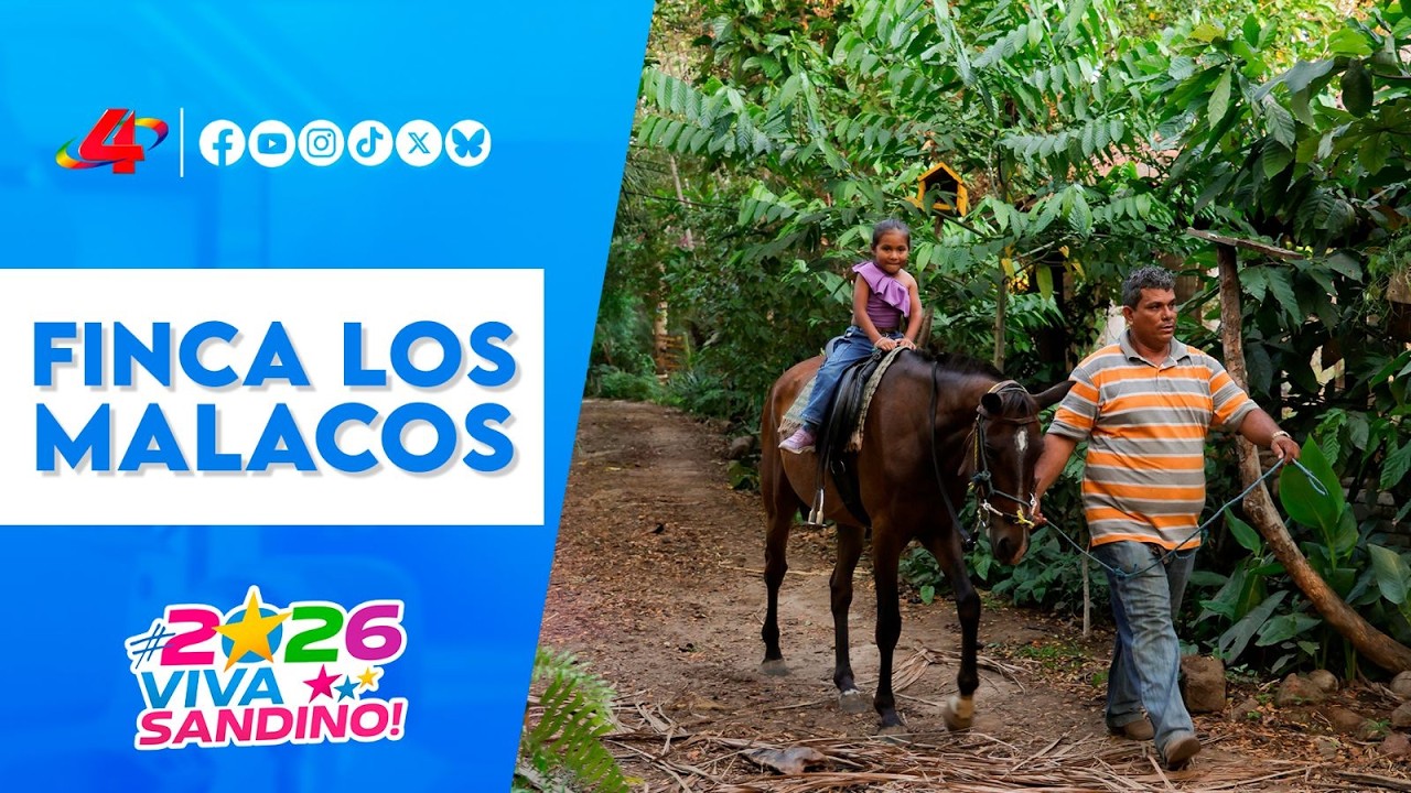 Finca Los Malacos: Un oasis de biodiversidad y turismo sostenible en Granada 🌿