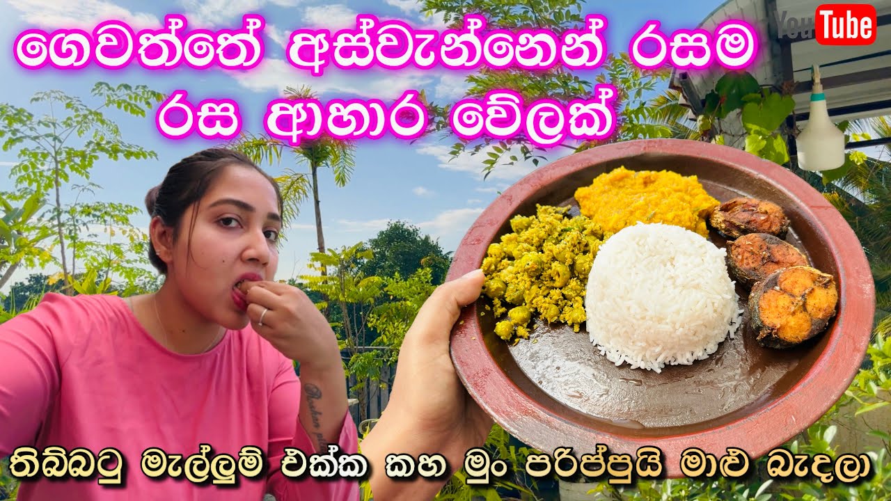 ගෙවත්තේ අස්වැන්නෙන් රස කෑම වේලක් | මගේ නිවාඩු දවසක් | තිබ්බටු මැල්ලුම | Ridma Pilapitiya