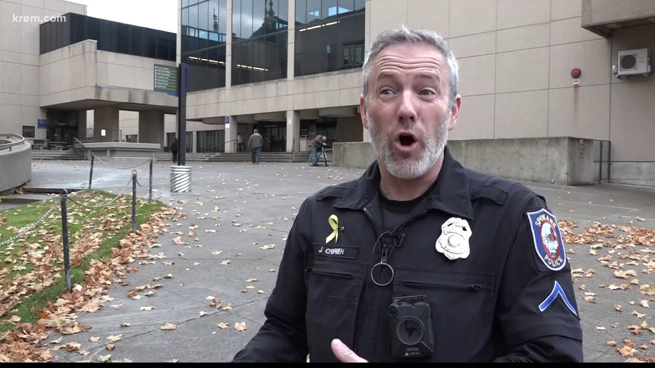 How often are hit-and-run drivers caught?