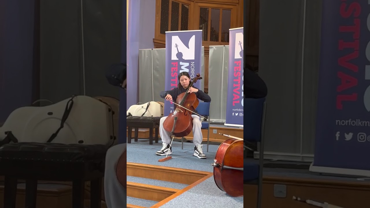 2nd + part 3rd Movement Saint Saens/Amelie 13