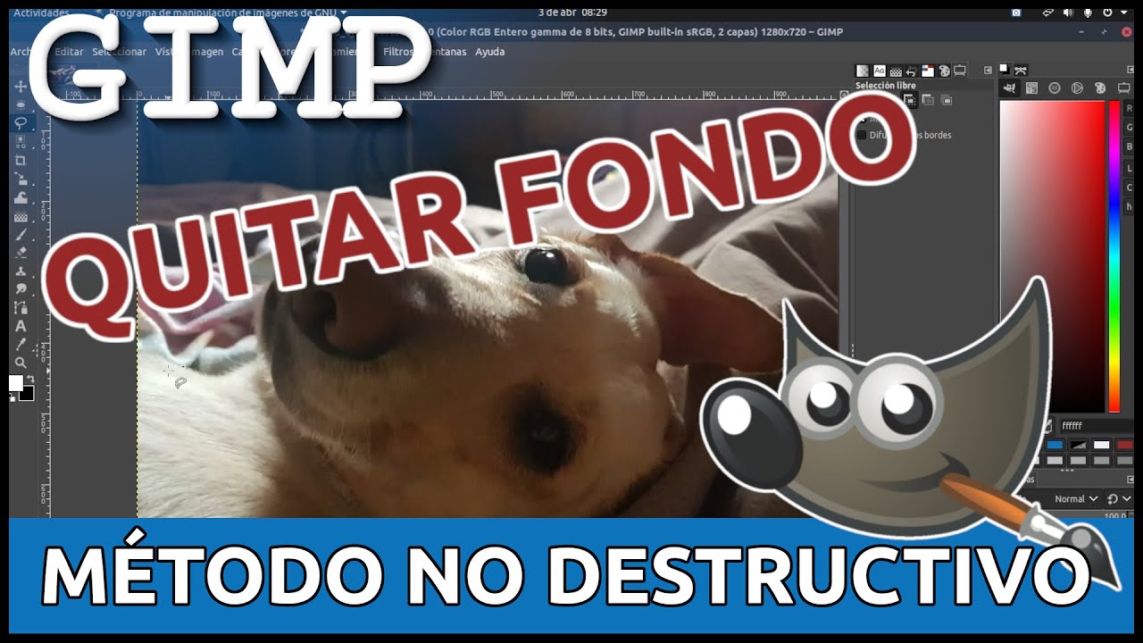 🙋🏻‍♂️ GIMP - Quitar Fondo de Fotos Caseras - 😀 Método no destructivo 👍🏽
