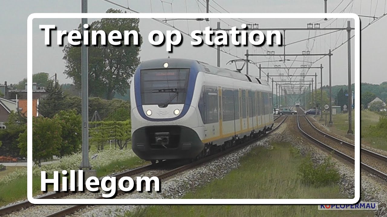 Treinen op station Hillegom