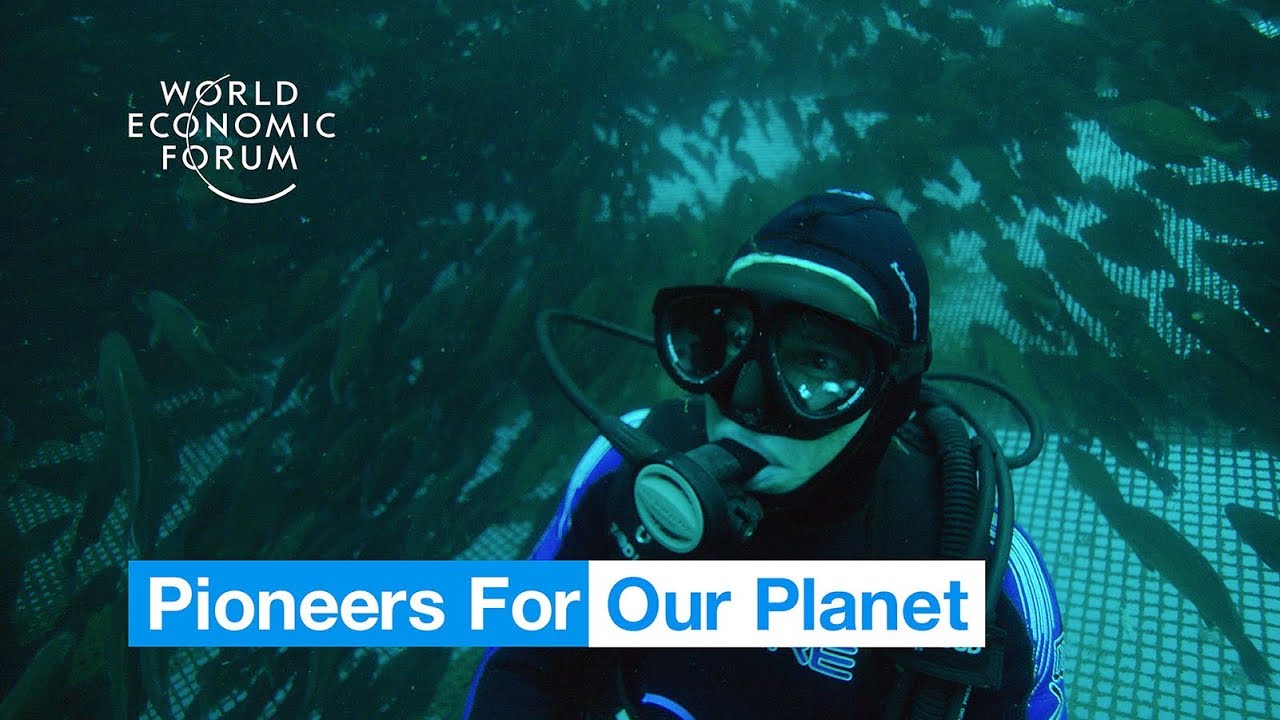 This innovative fish farm could revolutionise seafood production | Pioneers for Our Planet