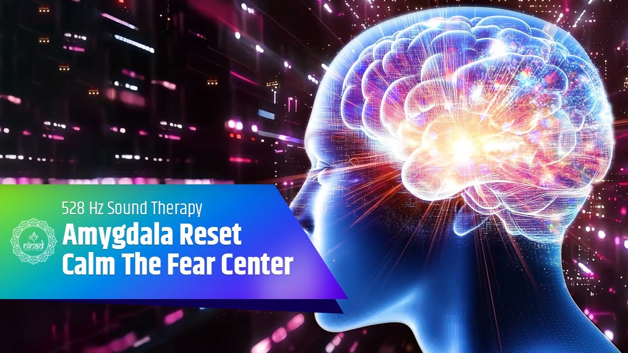 Amygdala Reset 