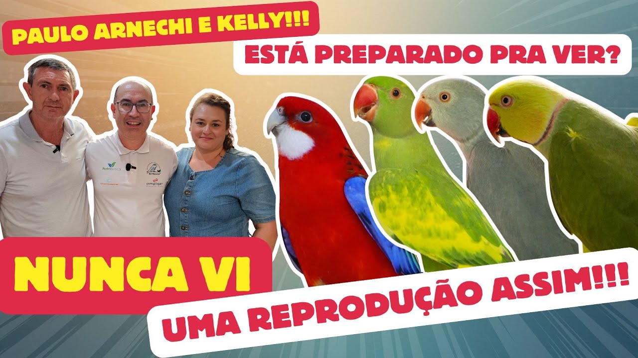 O MAIOR RESULTADO DE FILHOTES DO BRASIL!!CHEGUEI NO PAULO ARNECHI E KELLY. 