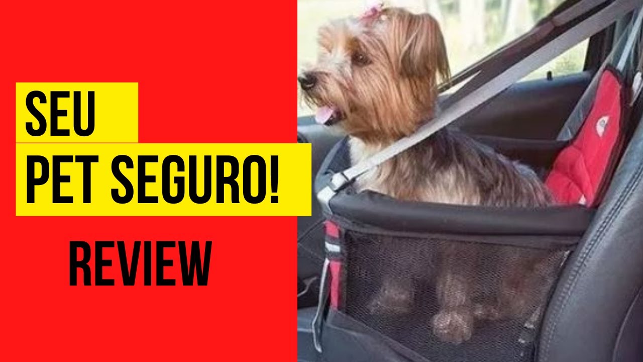 Cadeira para Pet andar no carro | Pet seguro