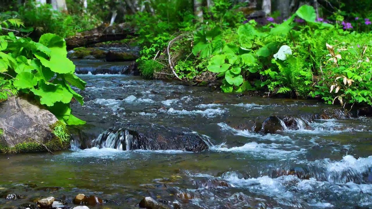 Звук реки, улучшающий концентрацию (журчание реки) [учеба, работа, сон, отдых, ASMR]