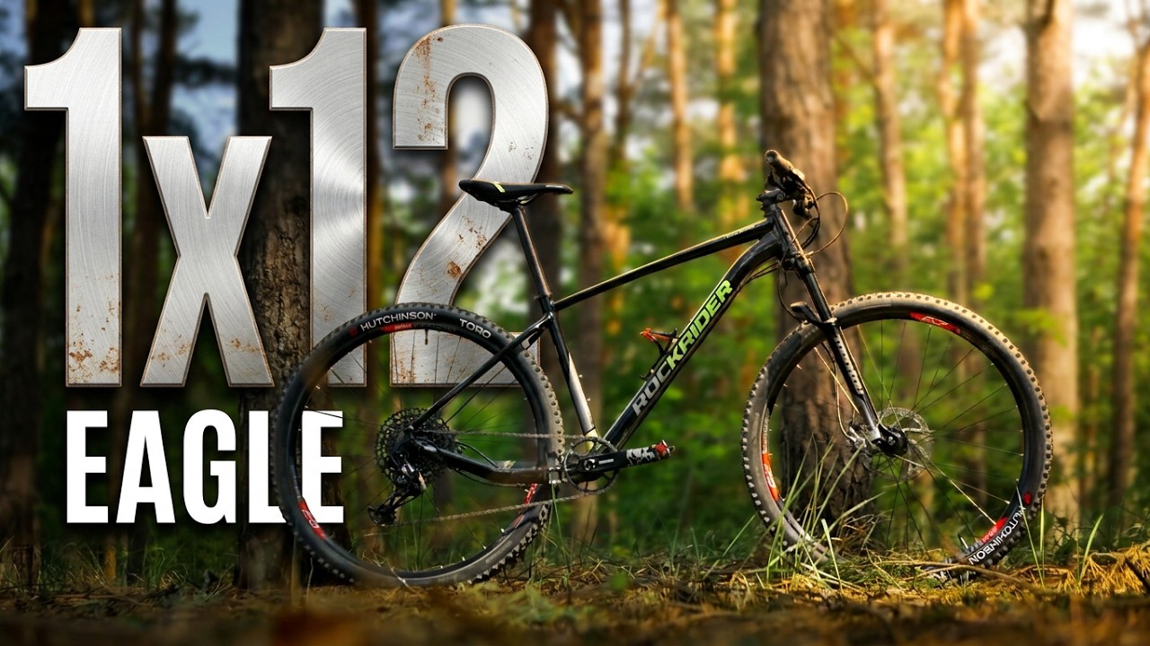Rockrider XC 100 29