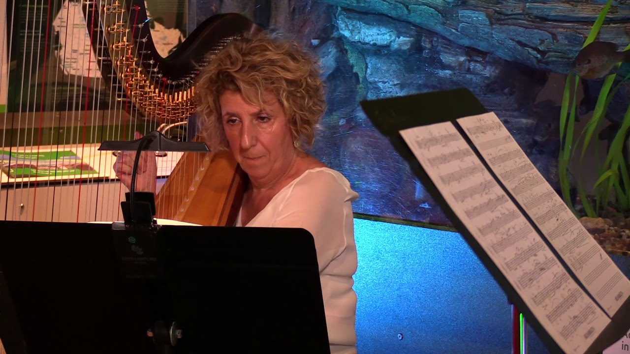 Music & Nature X - Algues by Bernard Andrès featuring Caroline Léonardelli and Pascale Margely