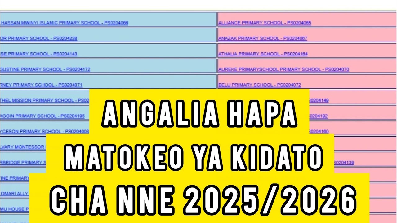 Jinsi Ya Kuangalia Matokeo Ya Kidato Cha Nne 2025/2026