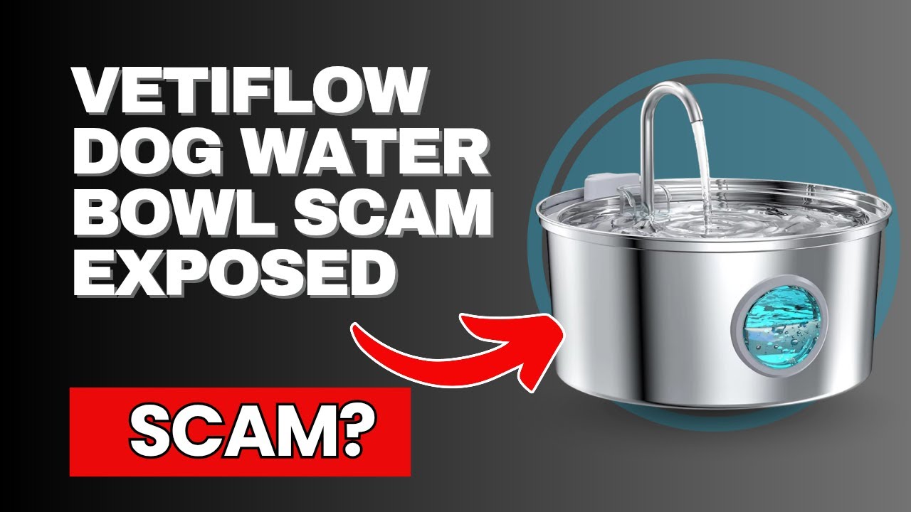 Обзор миски для воды VetiFlow для собак &mdash; обман или спасение для собак?