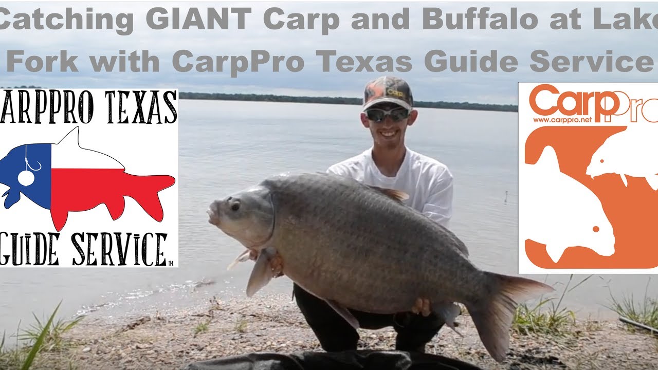 Catching GIANT Carp and Buffalo at Lake Fork with CarpPro Texas Guide Service