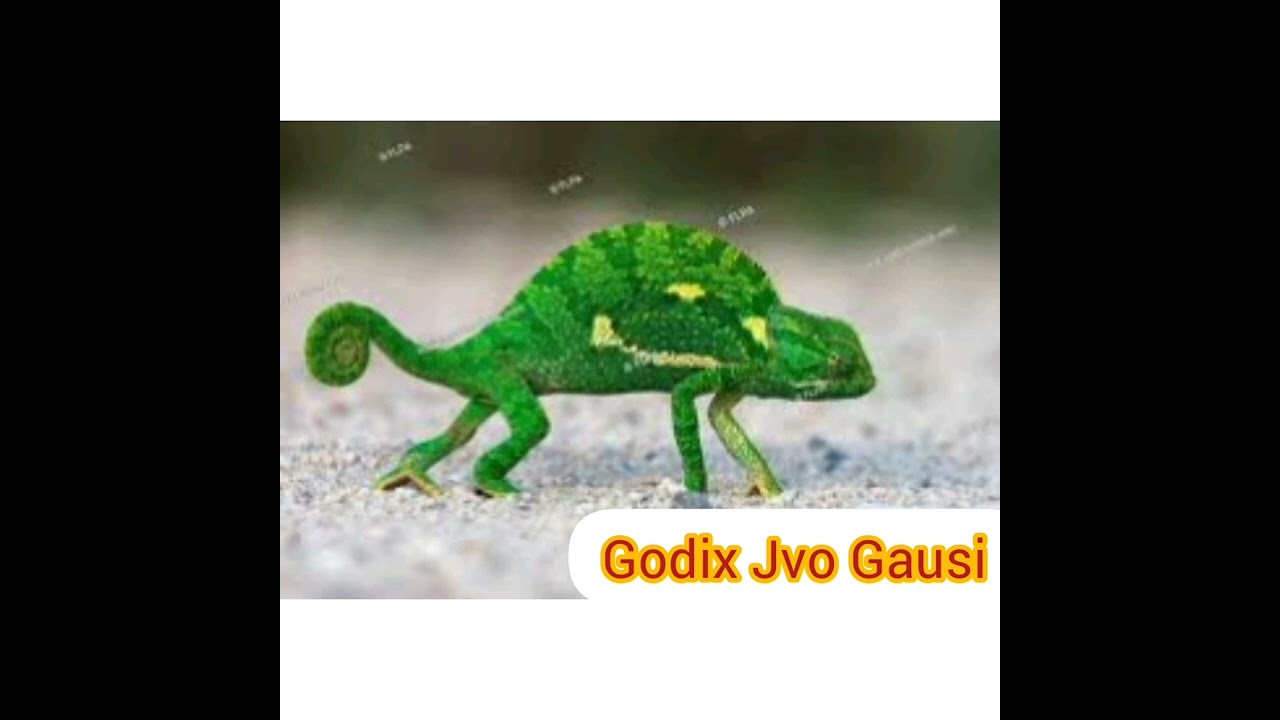 Nalira by Godix Jvo Gausi