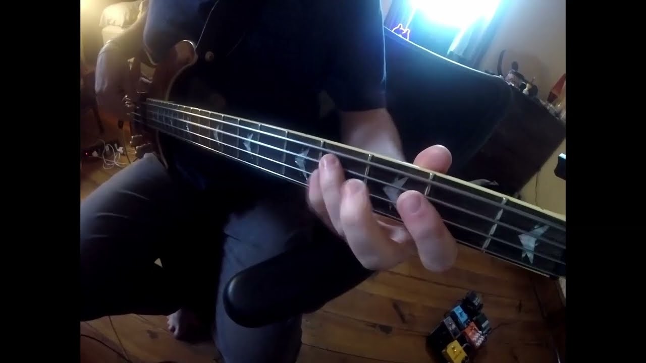 Fuzzy Logic - Ghost Funk Orchestra Bass Cover