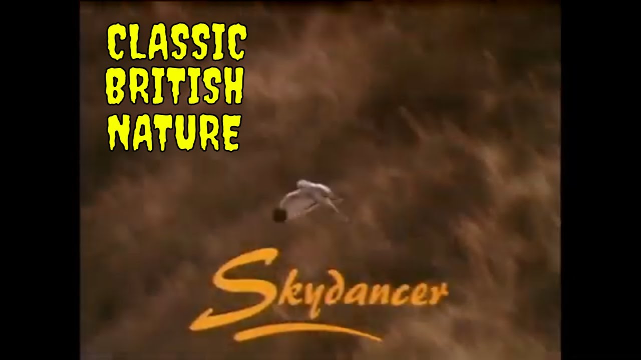 SKYDANCER - (Beautiful RSPB video narrated by Bill Paterson 1984)