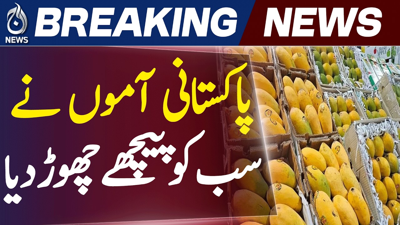 Sharjah Mango Festival | Pakistan Pavilion | Mango Sales - Aaj News