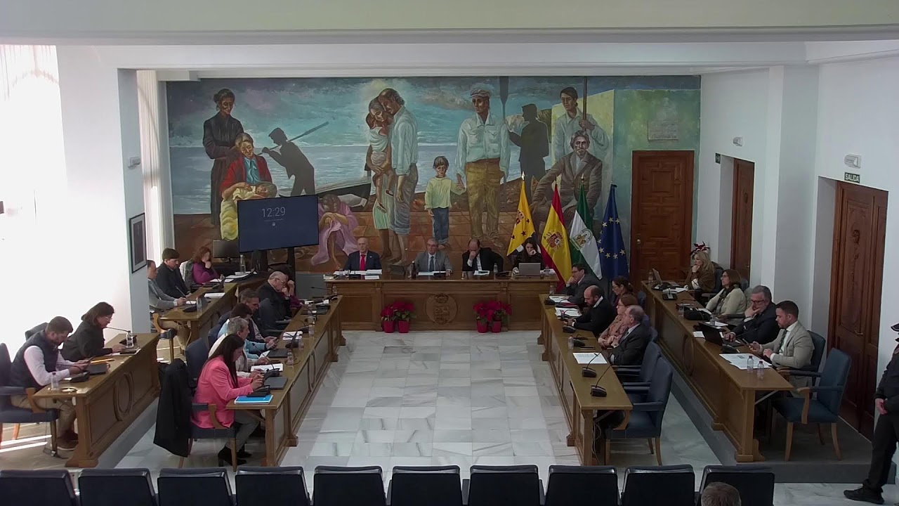 Pleno ordinario febrero 2026