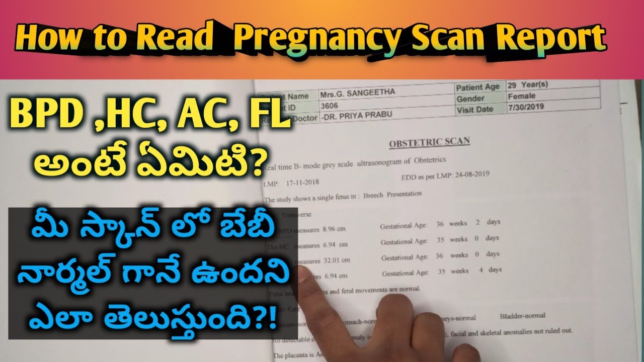 How to Read Scan Reports During Pregnancy in Telugu| Growth scan report reading  | Pregnancy | Scan