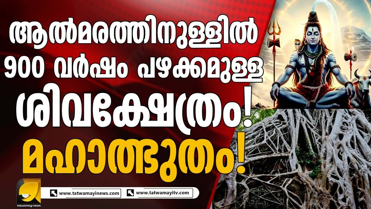 ആൽമരത്തിനുള്ളിൽ  900 വർഷം പഴക്കമുള്ള ശിവക്ഷേത്രം!!! മഹാത്ഭുതം !!