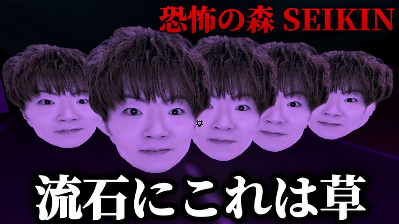 【倍速】『恐怖の森 SEIKIN』大量のセイキンの顔から逃げるホラーゲーム
